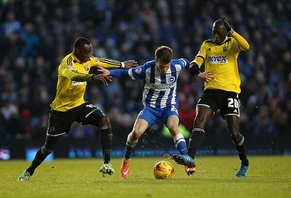 Solly March in Action: Brighton and Hove Albion vs. Brentford (17Jan15)