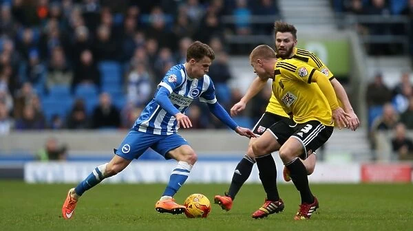 Solly March in Action: Brighton and Hove Albion vs. Brentford (17Jan15)