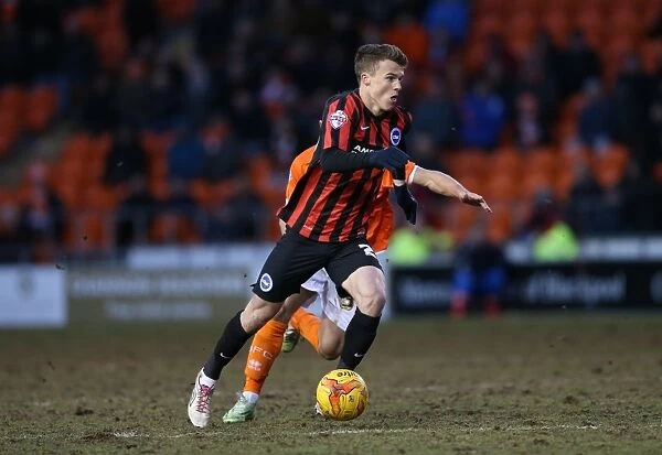 Solly March in Action: Brighton Midfielder Shines in Sky Bet Championship Clash vs. Blackpool (31st January 2015)