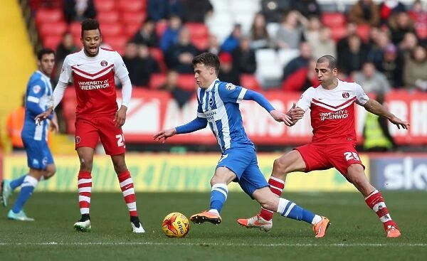Solly March in Action: Charlton Athletic vs. Brighton and Hove Albion, 2015