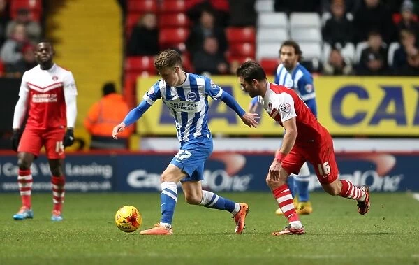Solly March in Action: Charlton Athletic vs. Brighton and Hove Albion, The Valley, 2015