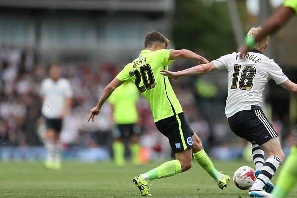 Solomon March: In Action for Brighton and Hove Albion against Fulham, Sky Bet Championship 2015 (15AUG15)