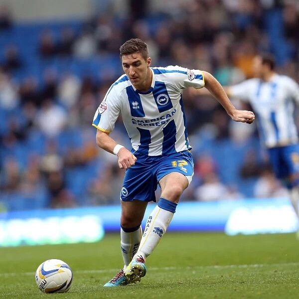 Stephen Ward Joins Brighton and Hove Albion: Spanish Day 2013 (Ex-Bolton Wanderers Defender)