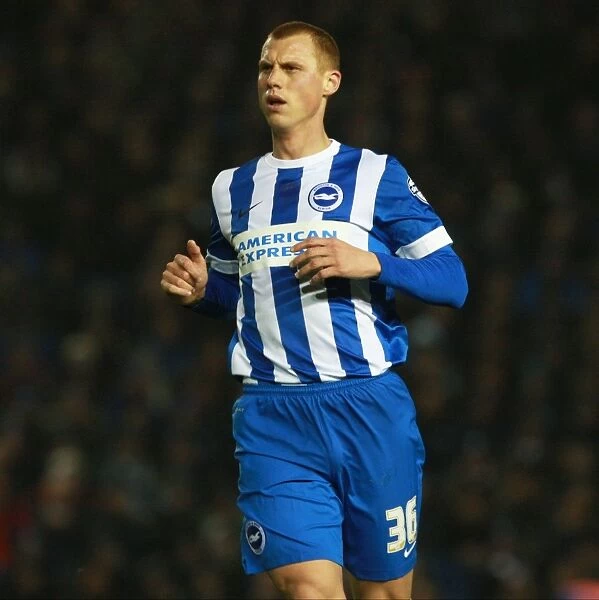 Steve Sidwell in Action: Brighton and Hove Albion vs. Sheffield Wednesday, Sky Bet Championship 2016