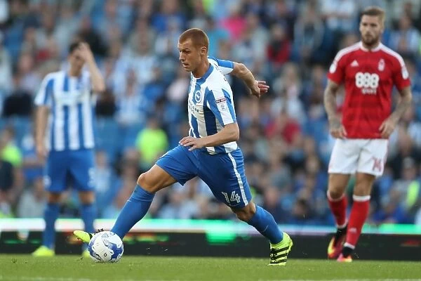 Steve Sidwell in Action: Brighton & Hove Albion vs. Nottingham Forest, EFL Sky Bet Championship, August 12, 2016