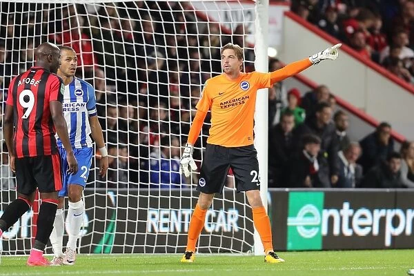 Tim Krul's Spectacular Saves: Brighton and Hove Albion vs. Bournemouth in EFL Cup (19SEP17)