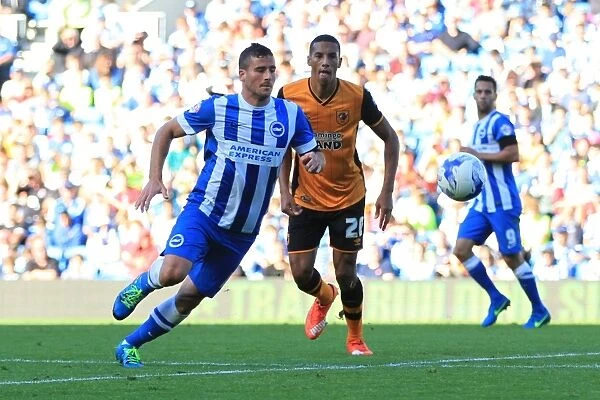 Tomer Hemed Chases After the Ball in Intense Brighton and Hove Albion vs Hull City Championship Match, September 2015
