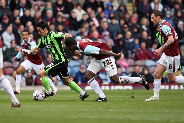 Vicente Rodriguez Breaks Forward: Burnley vs. Brighton & Hove Albion, Npower Championship, April 2012