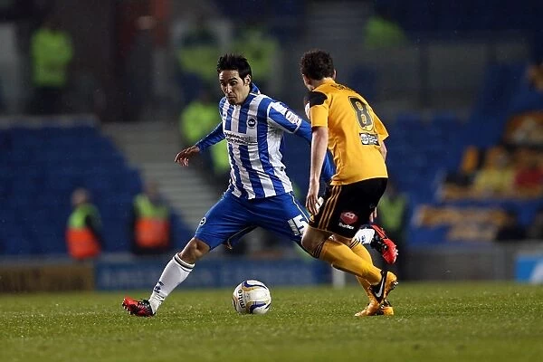 Vicente's Action-Packed Performance: Brighton & Hove Albion vs Hull City, Npower Championship, Amex Stadium (February 9, 2013)