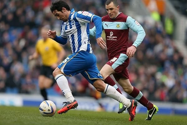 Vicente's Triumph: Man of the Match Performance in Brighton & Hove Albion vs. Burnley (February 23, 2013)