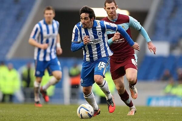 Vicente's Victory: Man of the Match Performance in Brighton & Hove Albion vs. Burnley (February 23, 2013)