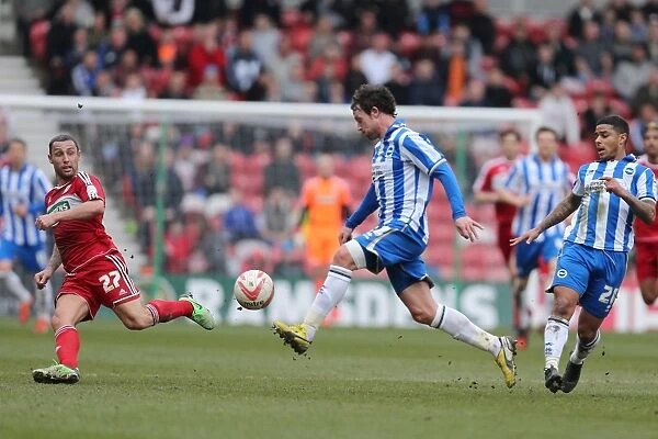 Wayne Bridge: In Action for Brighton & Hove Albion vs Middlesbrough (April 13, 2013)