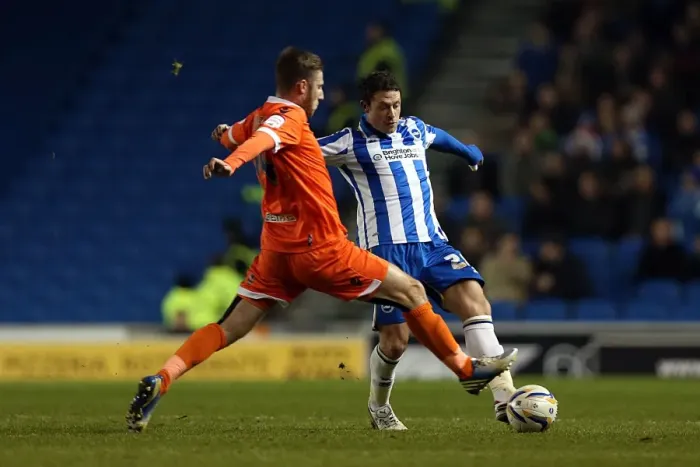 Framed Print : Wayne Bridge in Brighton Forest: Brighton & Hove Albion vs Millwall, December 18, 2012 (Npower Championship, Amex Stadium) Framed Print : Wayne Bridge in Brighton Forest: Brighton & Hove Albion vs Millwall, December 18, 2012 (Npower Championship, Amex Stadium)