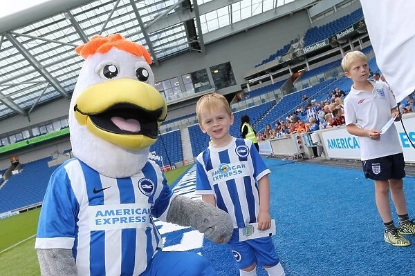 Winning Experience: Young Seagulls Open Training Session with Brighton & Hove Albion FC (31st July 2015)