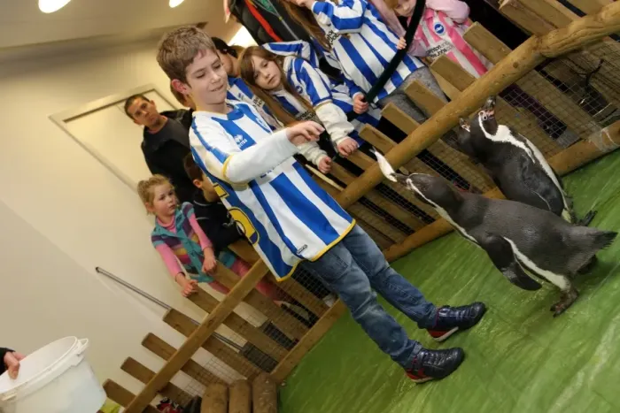 Framed Print : Young Seagulls Christmas Party 2013 at Brighton & Hove Albion FC Framed Print : Young Seagulls Christmas Party 2013 at Brighton & Hove Albion FC