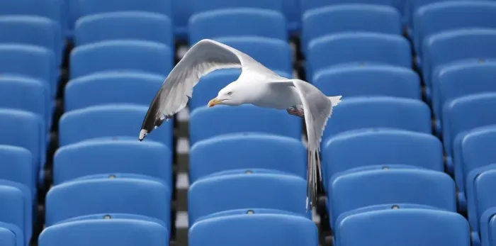 Framed Print : Young Seagulls in Flight: Open Training Session at Brighton & Hove Albion FC (31st July 2015) Framed Print : Young Seagulls in Flight: Open Training Session at Brighton & Hove Albion FC (31st July 2015)