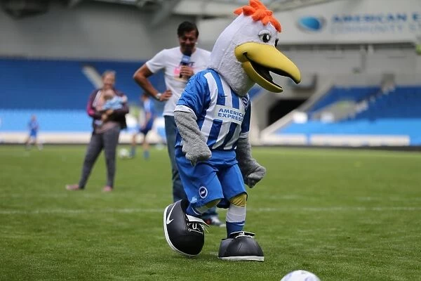 Young Seagulls Open Training Day: Fans Penalty Shootout with Casper Ankergren, July 2015