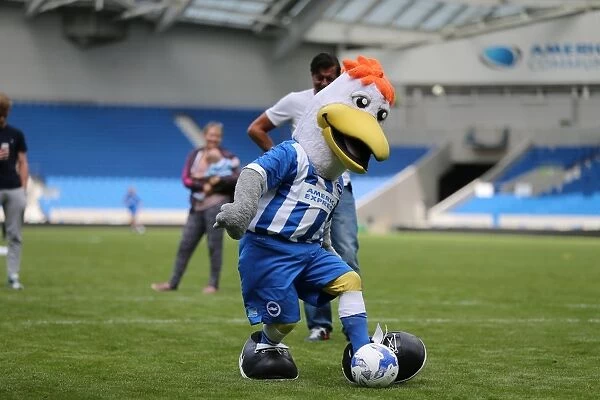 Young Seagulls Open Training Session: Albion Fans Face-off in Penalty Shootout with Casper Ankergren (31st July 2015)