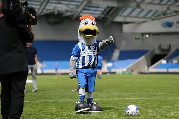 Young Seagulls Penalty Shootout: Fans Train with Casper Ankergren at Brighton & Hove Albion FC (31st July 2015)