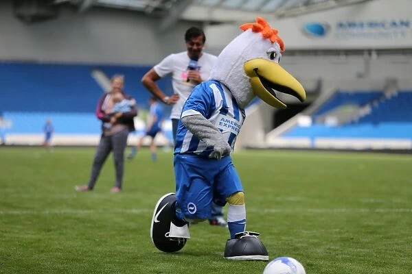 Young Seagulls Penalty Shootout: Fans Train with Casper Ankergren at Brighton & Hove Albion FC (31st July 2015)