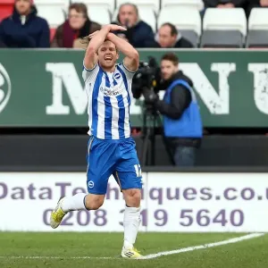 1-1 Stalemate: Mackail-Smith Scores for Brighton Against Charlton (December 8, 2012)