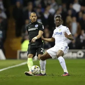 18 March 2017: Leeds United vs. Brighton and Hove Albion - Championship Clash at Elland Road 18 March 2017: Leeds United vs. Brighton and Hove Albion - Championship Clash at Elland Road