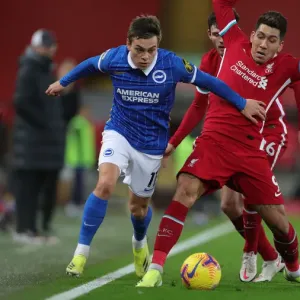 20 Leandro Trossard 20 Leandro Trossard