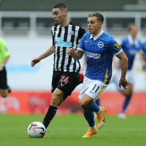 2020-21 Premier League: Intense Moment from Newcastle United vs. Brighton and Hove Albion 2020-21 Premier League: Intense Moment from Newcastle United vs. Brighton and Hove Albion