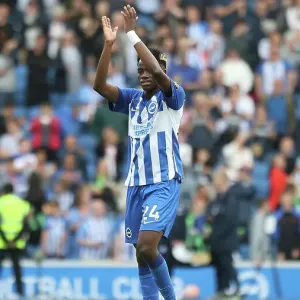 2023/24 Premier League: Brighton and Hove Albion vs. Luton Town Showdown at American Express Stadium 2023/24 Premier League: Brighton and Hove Albion vs. Luton Town Showdown at American Express Stadium