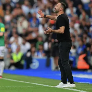 2023/24 Premier League: Brighton and Hove Albion vs. Newcastle United - American Express Stadium Showdown 2023/24 Premier League: Brighton and Hove Albion vs. Newcastle United - American Express Stadium Showdown