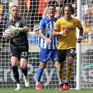 2023/24 Premier League: Wolverhampton Wanderers vs. Brighton and Hove Albion Clash at Molineux Stadium (19th August) 2023/24 Premier League: Wolverhampton Wanderers vs. Brighton and Hove Albion Clash at Molineux Stadium (19th August)