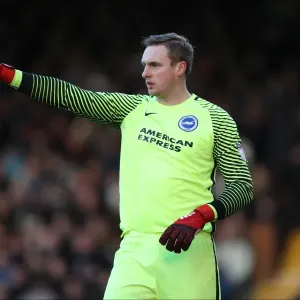2nd January 2017: Fulham vs. Brighton and Hove Albion - EFL Sky Bet Championship Clash at Craven Cottage 2nd January 2017: Fulham vs. Brighton and Hove Albion - EFL Sky Bet Championship Clash at Craven Cottage