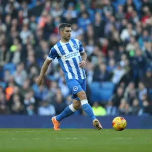 Aaron Hughes in Action: Brighton & Hove Albion vs. Fulham, American Express Community Stadium (29 November 2014)