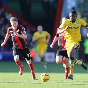 AFC Bournemouth at Brighton & Hove Albion: 2013-14 Season Away Game AFC Bournemouth at Brighton & Hove Albion: 2013-14 Season Away Game