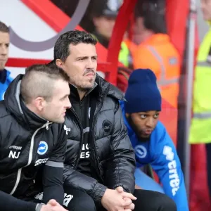 AFC Bournemouth at Brighton & Hove Albion: 2013-14 Season Away Game (November 30) AFC Bournemouth at Brighton & Hove Albion: 2013-14 Season Away Game (November 30)