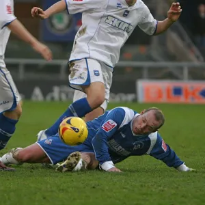 Alex Revell