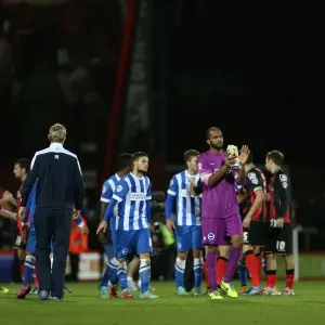 Ali Al-Habsi in Action at American Express Community Stadium: Bournemouth vs. Brighton and Hove Albion, 1st November 2014 Ali Al-Habsi in Action at American Express Community Stadium: Bournemouth vs. Brighton and Hove Albion, 1st November 2014