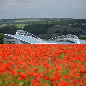 Collections: The Amex Stadium