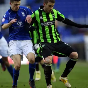 Andrea Orlandi in Action: Brighton & Hove Albion vs. Blackburn Rovers, Championship Clash at St. Andrews (12-12-2022)