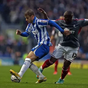 Andrea Orlandi in Action: Brighton & Hove Albion vs Bolton Wanderers, Npower Championship, November 24, 2012 Andrea Orlandi in Action: Brighton & Hove Albion vs Bolton Wanderers, Npower Championship, November 24, 2012