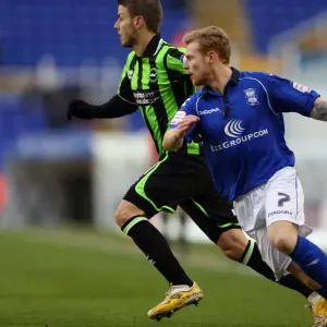 Andrea Orlandi of Brighton & Hove Albion in Action Against Blackburn during Birmingham City Clash, Npower Championship, January 19, 2013
