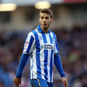 Andrea Orlandi: A Star Player for Brighton & Hove Albion FC Andrea Orlandi: A Star Player for Brighton & Hove Albion FC