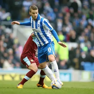 Andrea Orlandi's Thrilling Performance: Brighton & Hove Albion vs Burnley, Npower Championship, Amex Stadium (February 23, 2013) Andrea Orlandi's Thrilling Performance: Brighton & Hove Albion vs Burnley, Npower Championship, Amex Stadium (February 23, 2013)