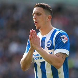 Anthony Knockaert in Action: Brighton and Hove Albion vs. Burnley, Sky Bet Championship (02APR16)