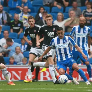 Anthony Knockaert in Action: Brighton & Hove Albion vs. Brentford, EFL Sky Bet Championship (10SEP16) Anthony Knockaert in Action: Brighton & Hove Albion vs. Brentford, EFL Sky Bet Championship (10SEP16)