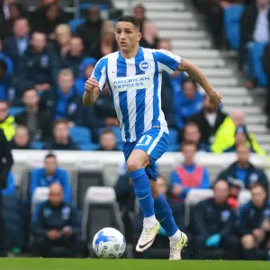 Anthony Knockaert in Action: Brighton & Hove Albion vs. Norwich City, EFL Sky Bet Championship (29OCT16) Anthony Knockaert in Action: Brighton & Hove Albion vs. Norwich City, EFL Sky Bet Championship (29OCT16)