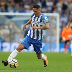 Anthony Knockaert in Action: Brighton and Hove Albion vs. Newcastle United, Premier League (September 2017) Anthony Knockaert in Action: Brighton and Hove Albion vs. Newcastle United, Premier League (September 2017)