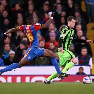 Ashley Barnes Charges Forward: Brighton & Hove Albion vs Crystal Palace, Npower Championship (Dec 1, 2012)