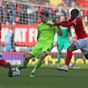 Battle in the Championship: Charlton Athletic vs. Brighton and Hove Albion (23 April 2016) Battle in the Championship: Charlton Athletic vs. Brighton and Hove Albion (23 April 2016)