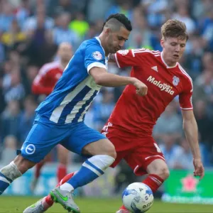 Battle in Midfield: Kayal vs. Mason - Brighton & Hove Albion vs. Cardiff City (3 Oct 2015) Battle in Midfield: Kayal vs. Mason - Brighton & Hove Albion vs. Cardiff City (3 Oct 2015)